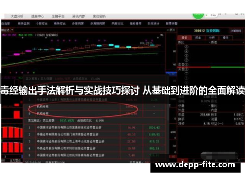 毒经输出手法解析与实战技巧探讨 从基础到进阶的全面解读
